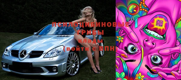 спиды Верея
