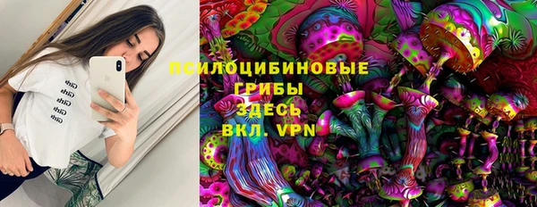 спиды Верея
