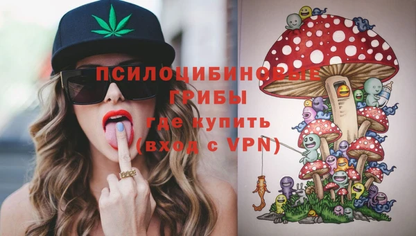 соль ск Верхний Тагил