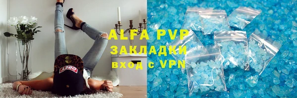 спиды Верея