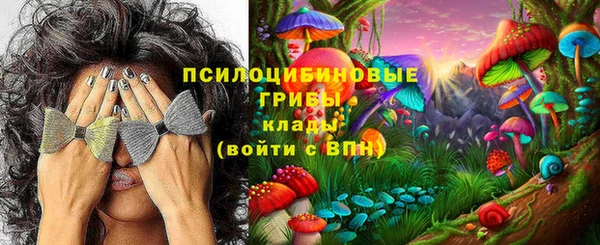 спиды Верея